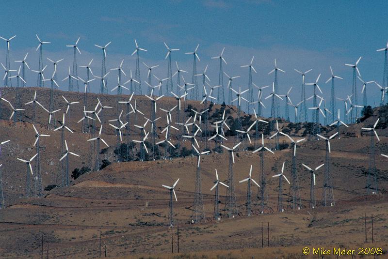 California-1999-199.jpg - The new cash crop.