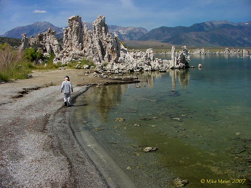 MonoLake-2003-09.jpg - Scaring up some brine flies