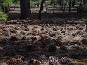 Sierras-2003-01