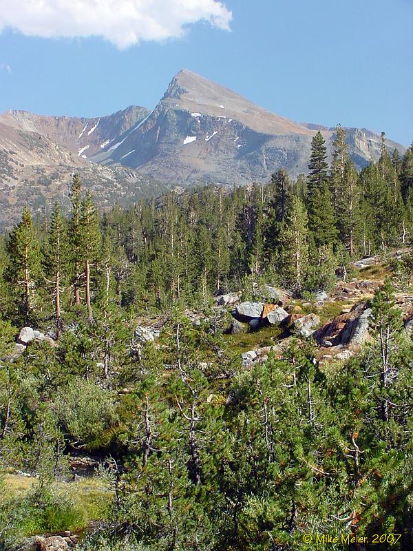 Tioga2002-01.jpg - Mount Dana (13,061'), from the Hall Wilderness