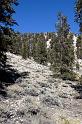 WhiteMtn-2007-02