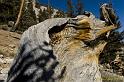 WhiteMtn-2007-04